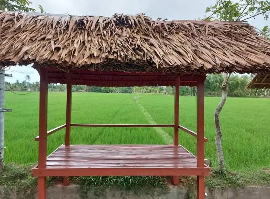 Pemandangan Lahan Sawah Deesa Cangguek